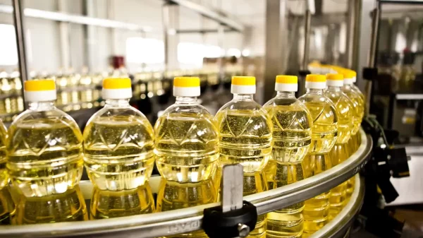 edible oil