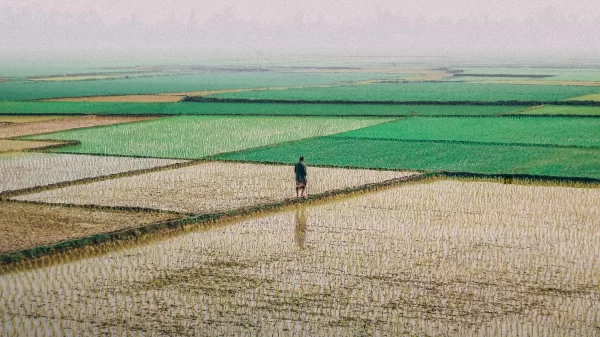 Photo by Kabiur Rahman Riyad on Unsplash