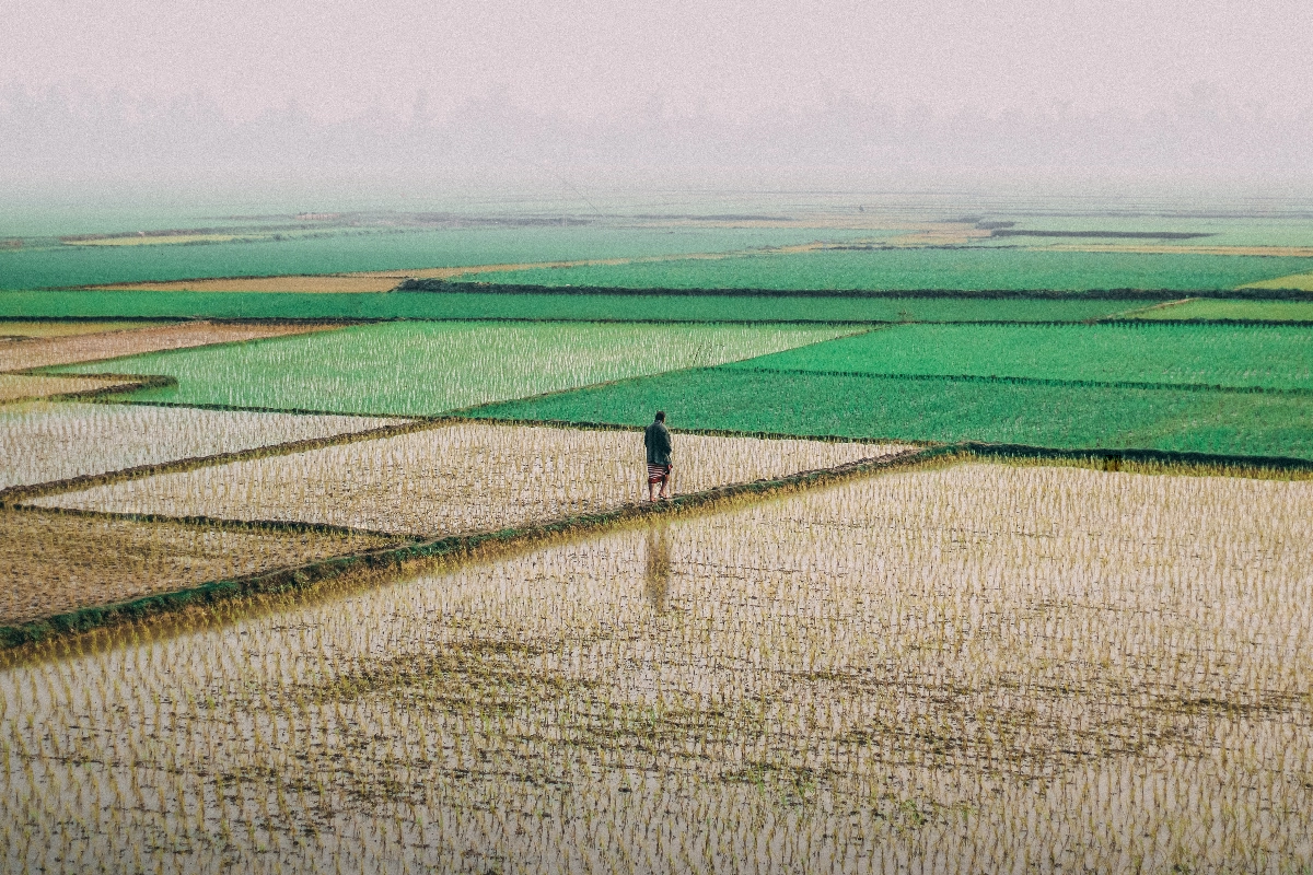 Photo by Kabiur Rahman Riyad on Unsplash