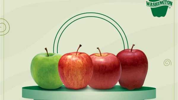 Washington apples