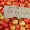 tomato