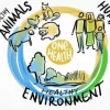 https://www.who.int/