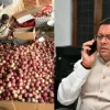 DHAMI APPLE