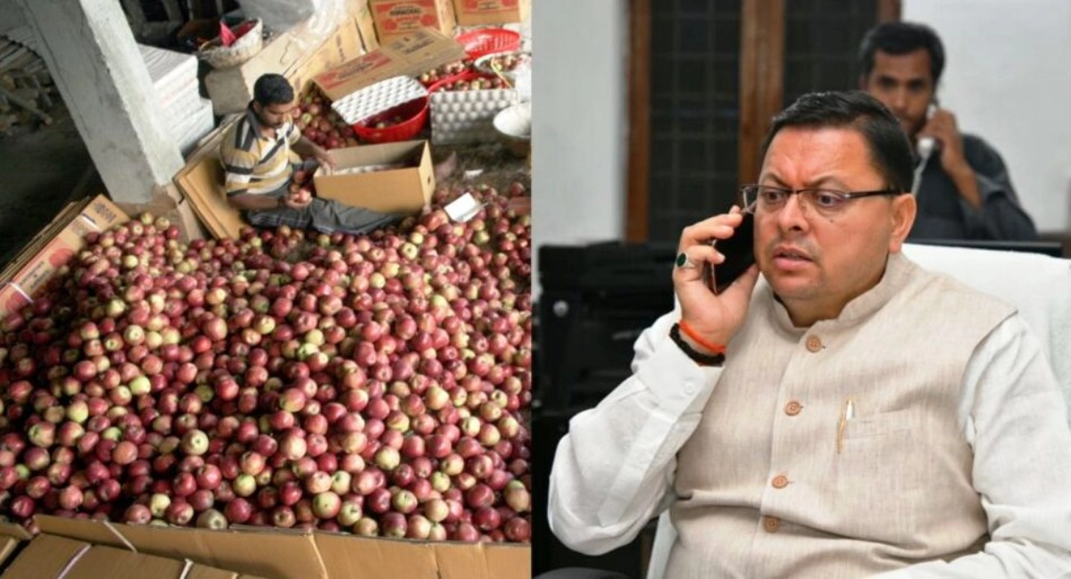 DHAMI APPLE