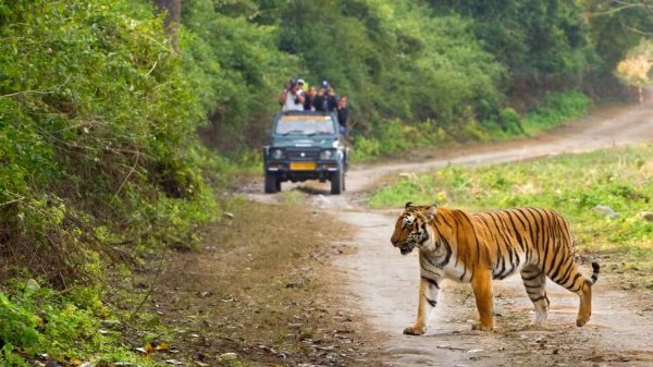 https://uttarakhandtourism.gov.in/
